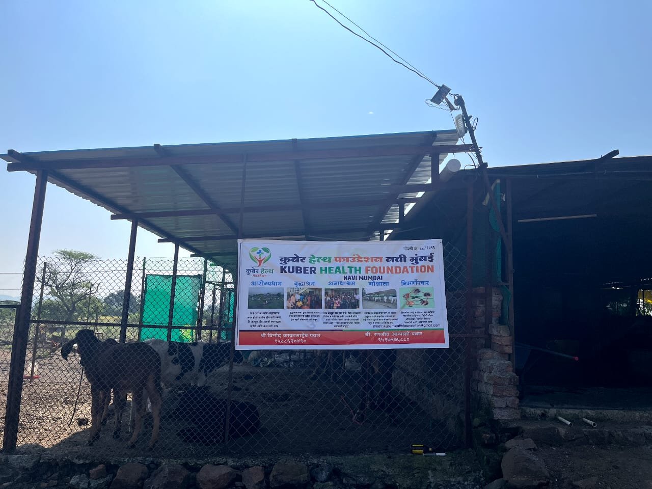 नवलेवाडी गोशाळेस कुबेर हेल्थ फाउंडेशनकडून साहित्य मदत